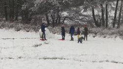 Families Enjoy a Day in the Snow News Clip