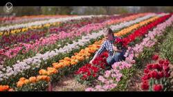 Exploring Turkish Traditions: A Journey Through Culture and Heritage Instructional Video