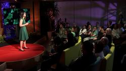 TED: A new way to think about the transition to motherhood | Alexandra Sacks Instructional Video