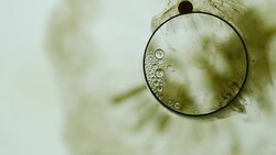 Droplet abstract background Stock Footage