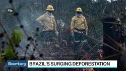 Brazil Calls for More Talks on Green Investment at COP25 News Clip