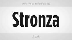 How to Say "Bitch" in Italian Instructional Video