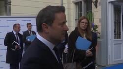 Liberal EU lawmakers react to Brexit outline deal Instructional Video