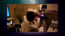 Reproducibility The Basics - Scientists and Engineers on Sofas (and other furnishings) Instructional Video