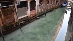 CLEAN : Venice canals clearer due to a lack of tourists, traffic News Clip
