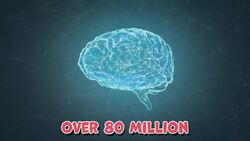 I WONDER - How Many Cells Are In My Body? Instructional Video