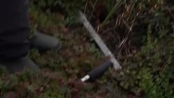 CLEAN : AFPTV BEST OF 2021 // In northern Sweden, climate change reshapes Arctic landscapes News Clip