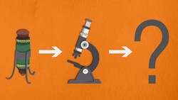 Invention and evolution of the microscope Instructional Video
