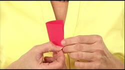 Splendid Symmetry Instructional Video