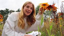 How do Bees make Honey? | Beekeeping with Maddie #13 Instructional Video