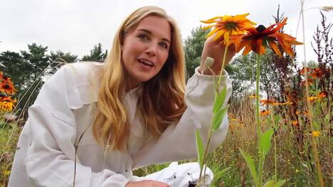 How do Bees make Honey? | Beekeeping with Maddie #13