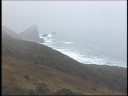 Natural Cycles: Nitrogen Cycle Instructional Video