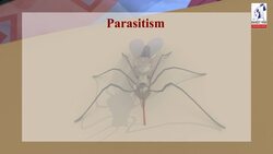 parasitism Instructional Video