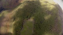 NASA | Mapping Alaska's Forests Instructional Video