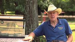 Do Leopard Geckos Make Good Pets? Instructional Video