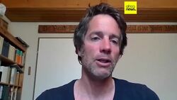 Bonobos in Congo form girl groups to fend off male aggression, study says News Clip