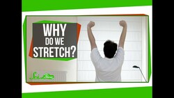 Why Do We Stretch in the Morning? Instructional Video