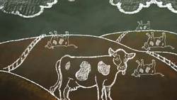 Tragedy of the Commons Part 2 - Chalk Talk Instructional Video