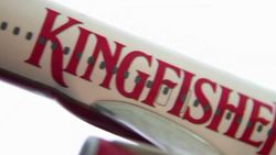 Kingfisher: The Dream, The Glamour, The Reality Instructional Video