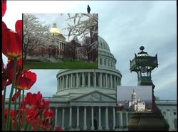 The Election Process In America - The 17th and 19th Amendments Instructional Video