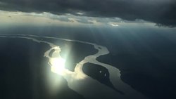 ROTY: DISASTER: Amazon Rainforest Before Fires News Clip