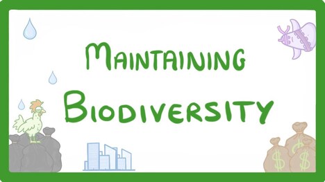 GCSE Biology - Maintaining Biodiversity #90