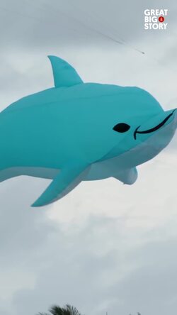 The Man Teaching Math Lessons in the Sky Instructional Video