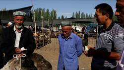 China, Kashgar - Animals market  Stock Footage