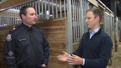 Bond between horse and mounted officer goes deep News Clip
