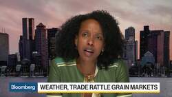 Gro Intelligence CEO Menker Discusses Corn, Pork News Clip