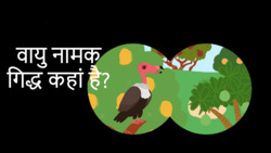 What vultures do? - Hindi Instructional Video
