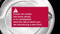 How to Convince a Cat to Eat New Food Instructional Video