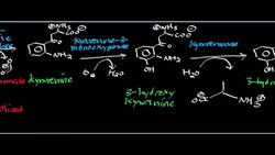 Tryptophan Conversion to Aminocarboxymuconate Semialdehyde Instructional Video