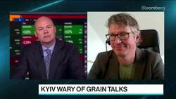 Ukraine Plays Down Hope of Grain Shipment Corridor News Clip