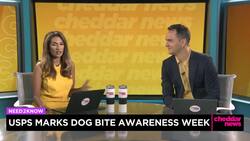 USPS Says More Than 5,300 Postal Workers Were Attacked by Dogs in 2022 News Clip