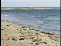 The Water Cycle: From Evaporation to Precipitation Instructional Video