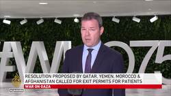 ‘Victory for humanity’: Doctor lauds WHO vote on Gaza action News Clip