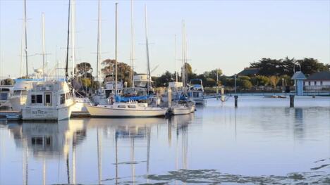Culture and Culinary Delights of Berkeley, California