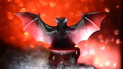 Atmosphere of Halloween Stock Footage