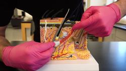 The Science Behind Goose Bumps: Anatomy and Function Instructional Video