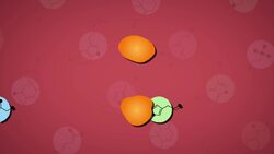 High Five Facts - Endocrine System Instructional Video