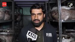 Unemployed youths in Anantnag start their own mushroom cultivation, Govt helps in all possible ways News Clip