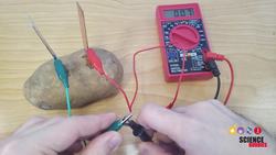 Potato Battery Science Experiment Instructional Video