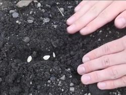 Soil and Rocks: Introduction Instructional Video