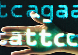 How Does DNA Make Protein? Instructional Video