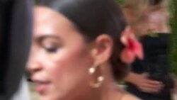 CLEAN : Stars react to 'surreal' Met Gala on the red carpet News Clip