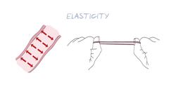 What is High Blood Pressure? (HealthSketch) Instructional Video