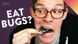I Tried Eating Bugs… Here's What I Learned Instructional Video