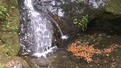Edelfrauengrab Wasserfälle im Schwarzwald Stock Footage