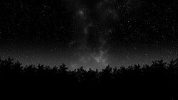 Timelapse of stars moving over pine trees. Stock Footage